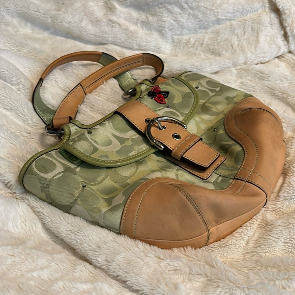 Rare Dooney bag
